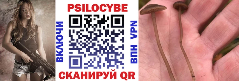 наркошоп  Апрелевка  Галлюциногенные грибы ЛСД 